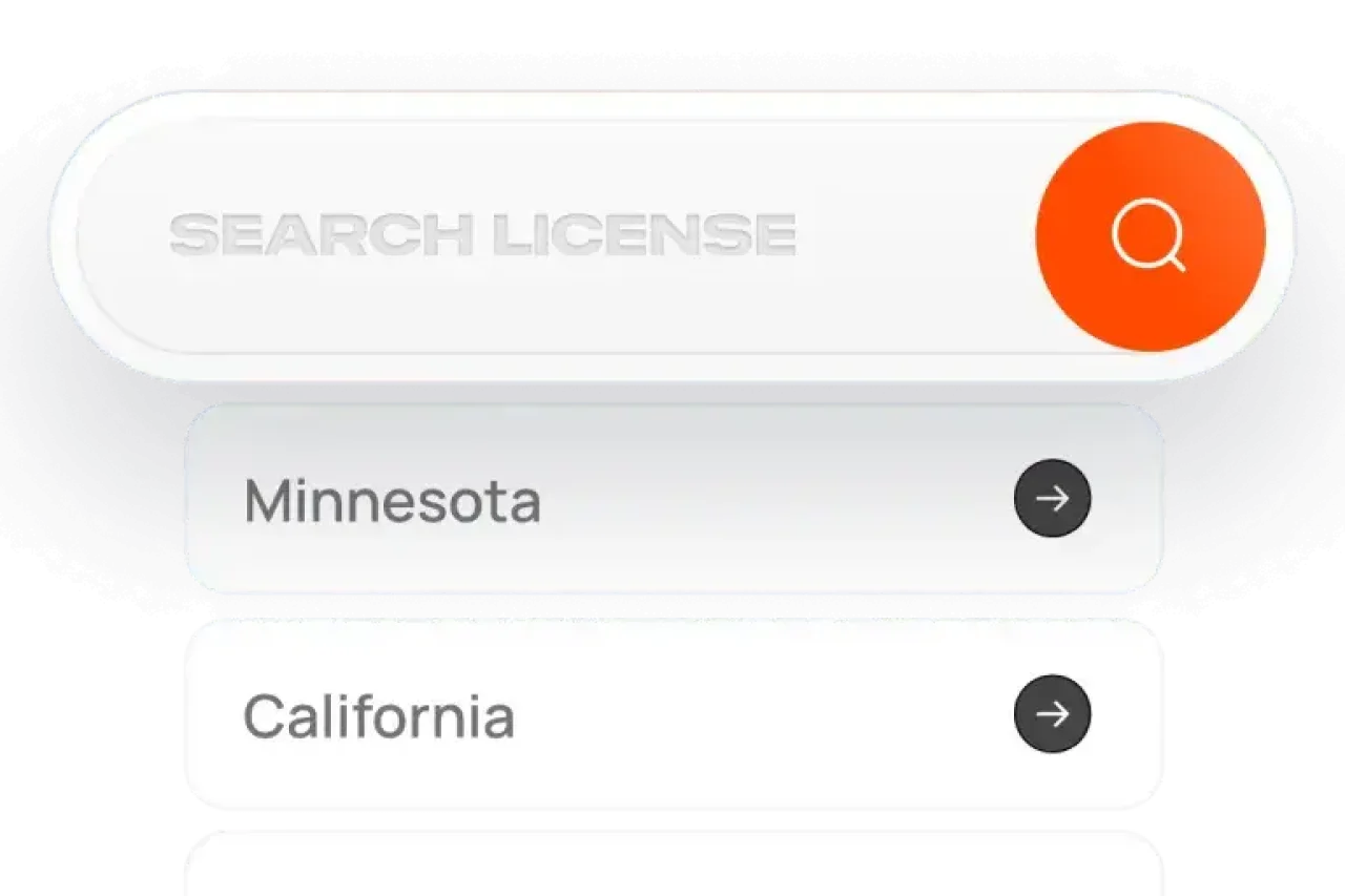 Business License Search Interface